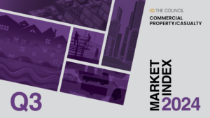 Q3 P&C Market Survey 2024 Cover Image