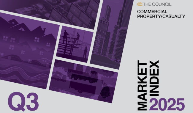 Q3 P/C Market Index 2025